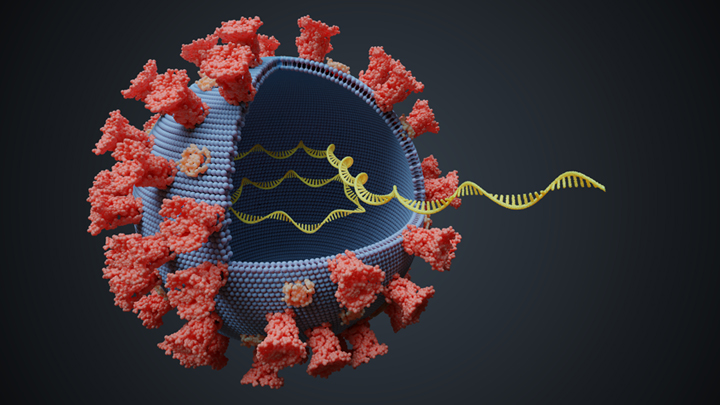 Genome Sequencing