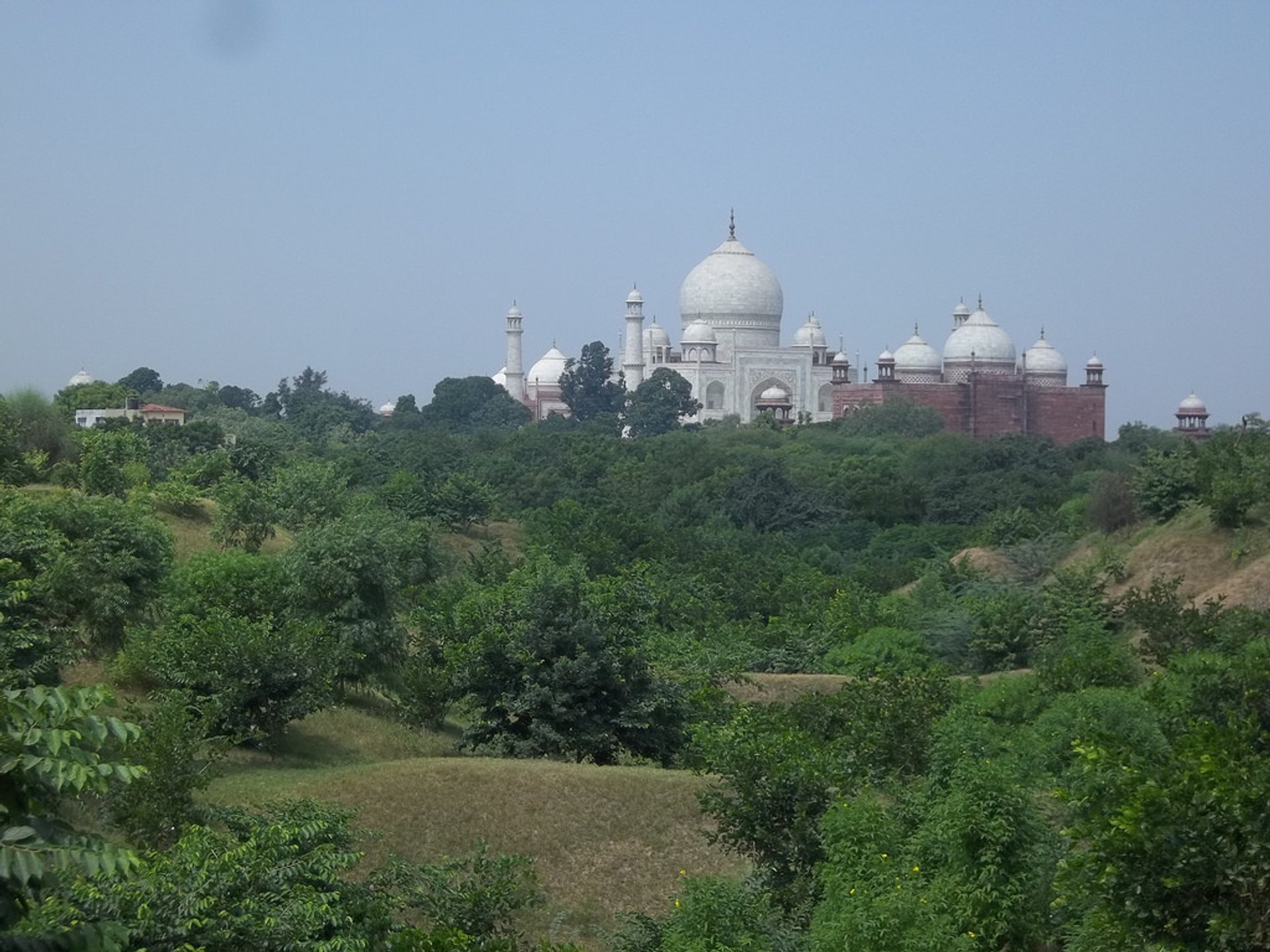 Trees near Taj Mahal